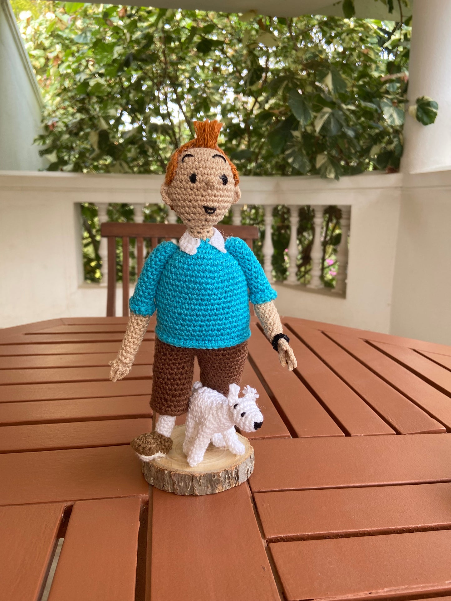 Tintin and Snowy