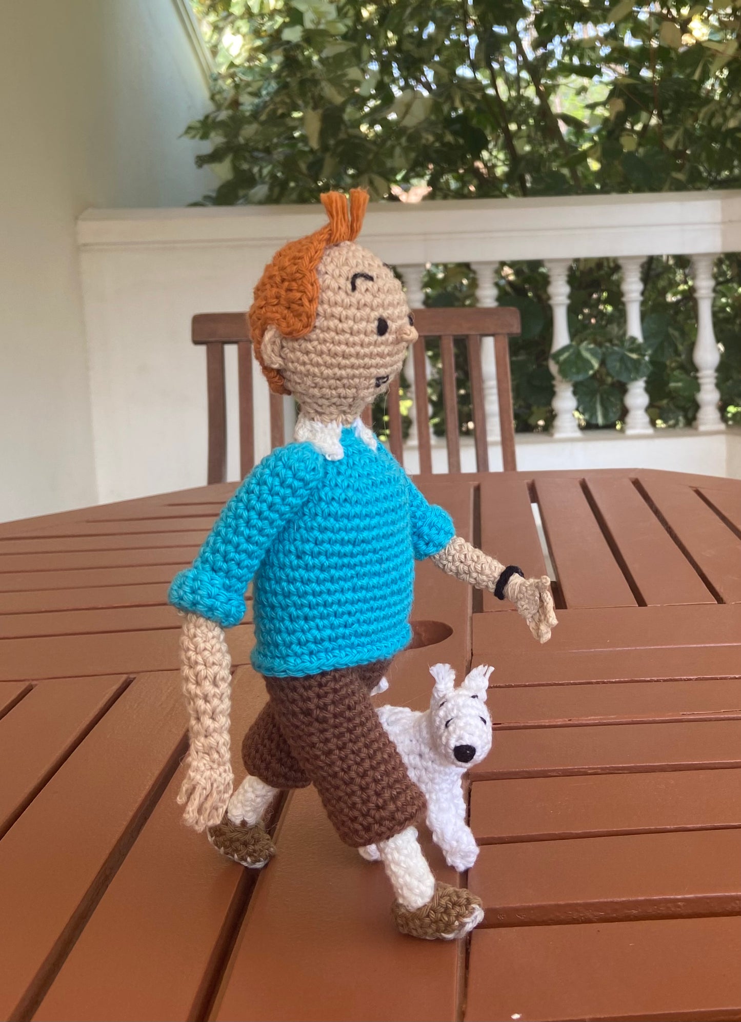 Tintin and Snowy